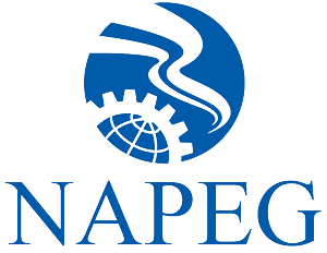 NWT & Nunavut Association of Professional Engineers & Geologists Logo